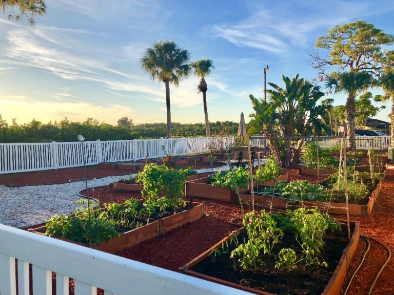 A community garden in Colony Cove